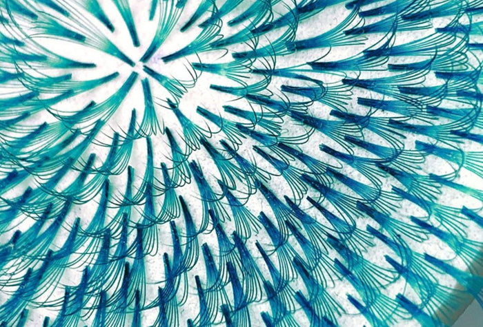 Practice Smarter and Harder, and Have Fun With It!