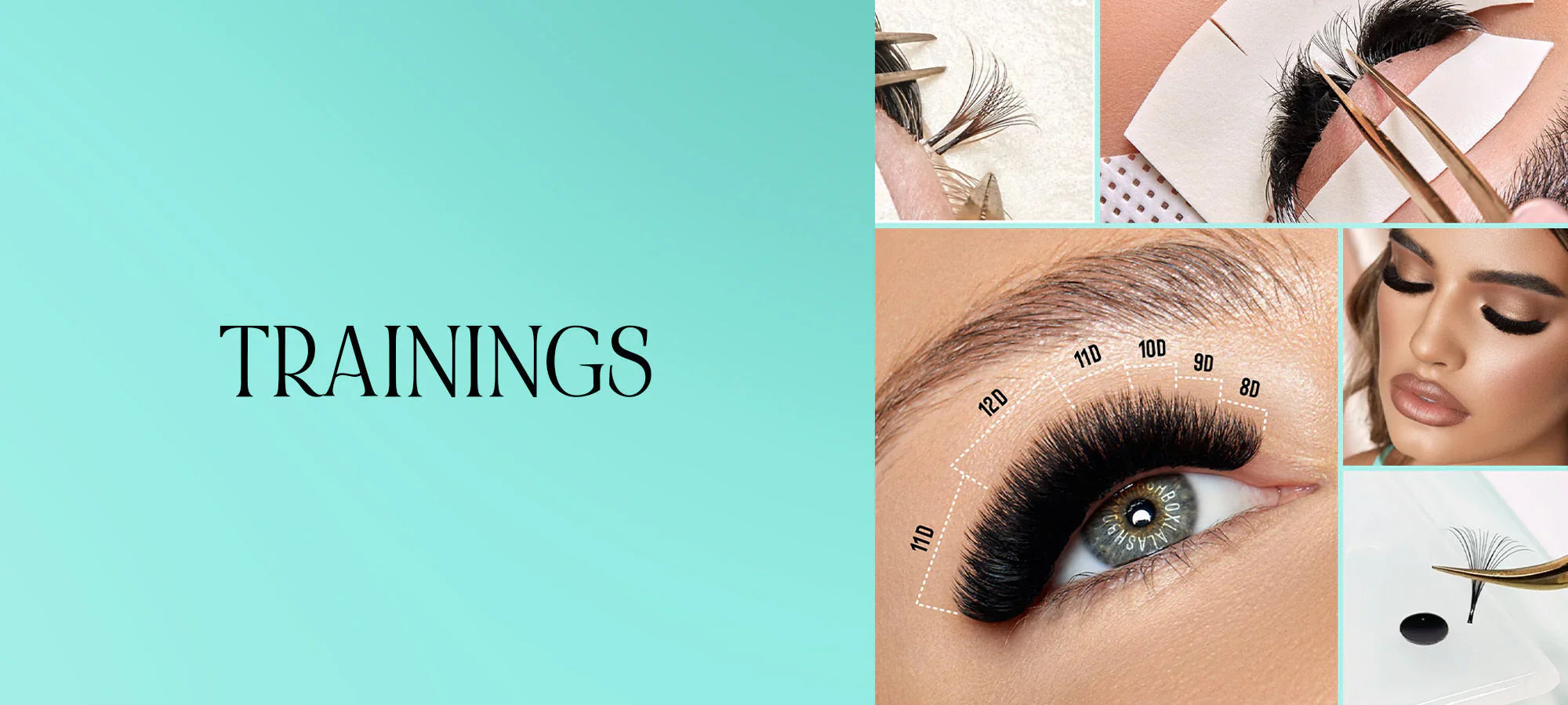 Lashbox LA Training