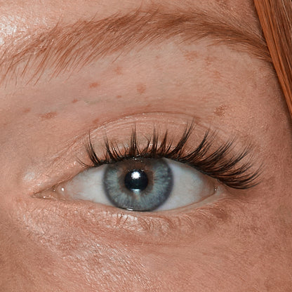 Lace it Up Pro DIY Vegan Cluster Lashes - Allure Bold Wispy - Retail Set