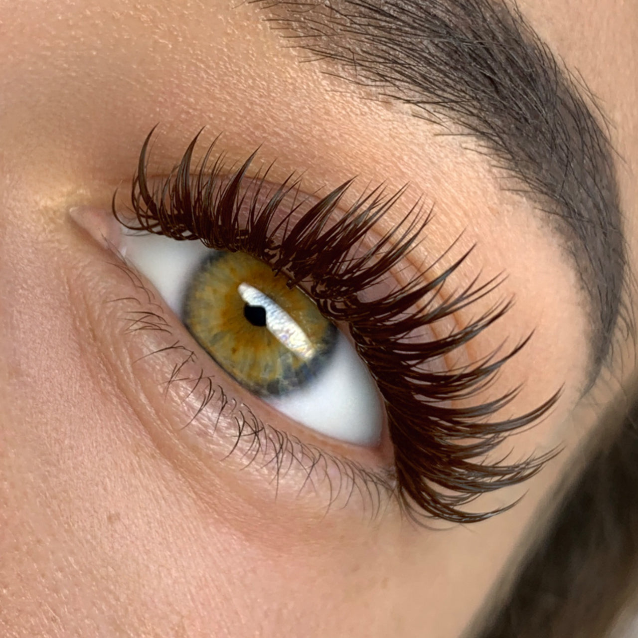 Mocha Brown / FAVORITE Cashmere Lashes 0.03, 0.05, 0.07mm (18 Lines Tray)