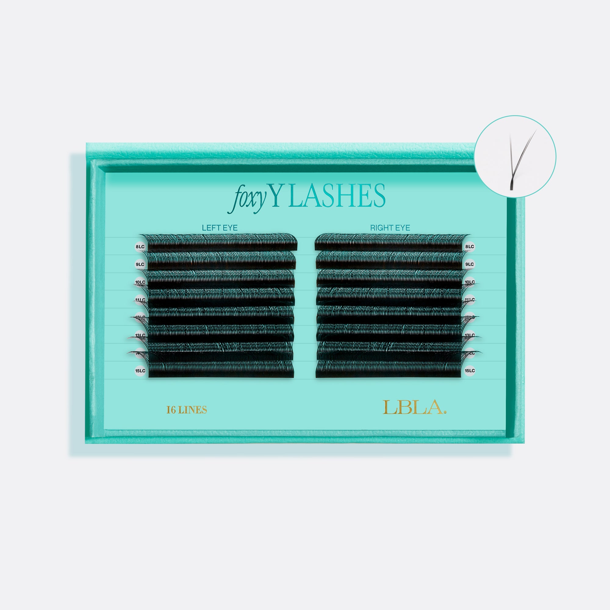 Foxy Y 0.07mm Individual Professional Volume Premade Lash Extensions