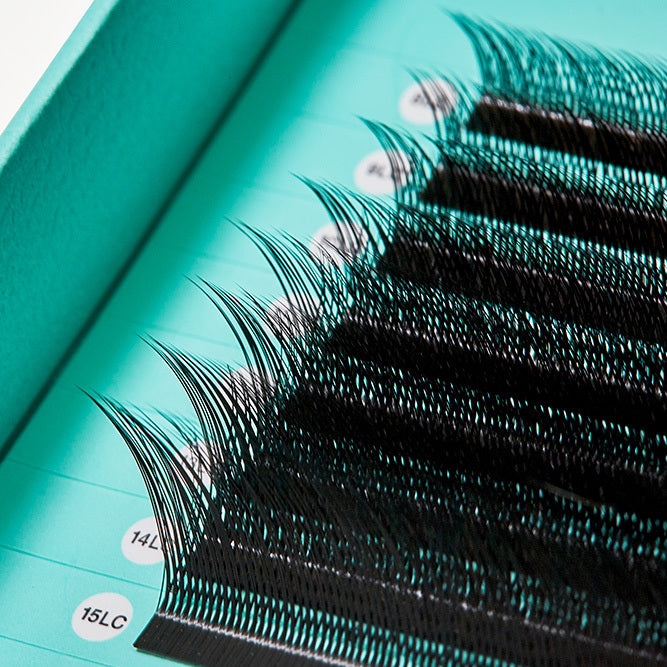 Foxy Y 0.07mm Individual Professional Volume Premade Lash Extensions