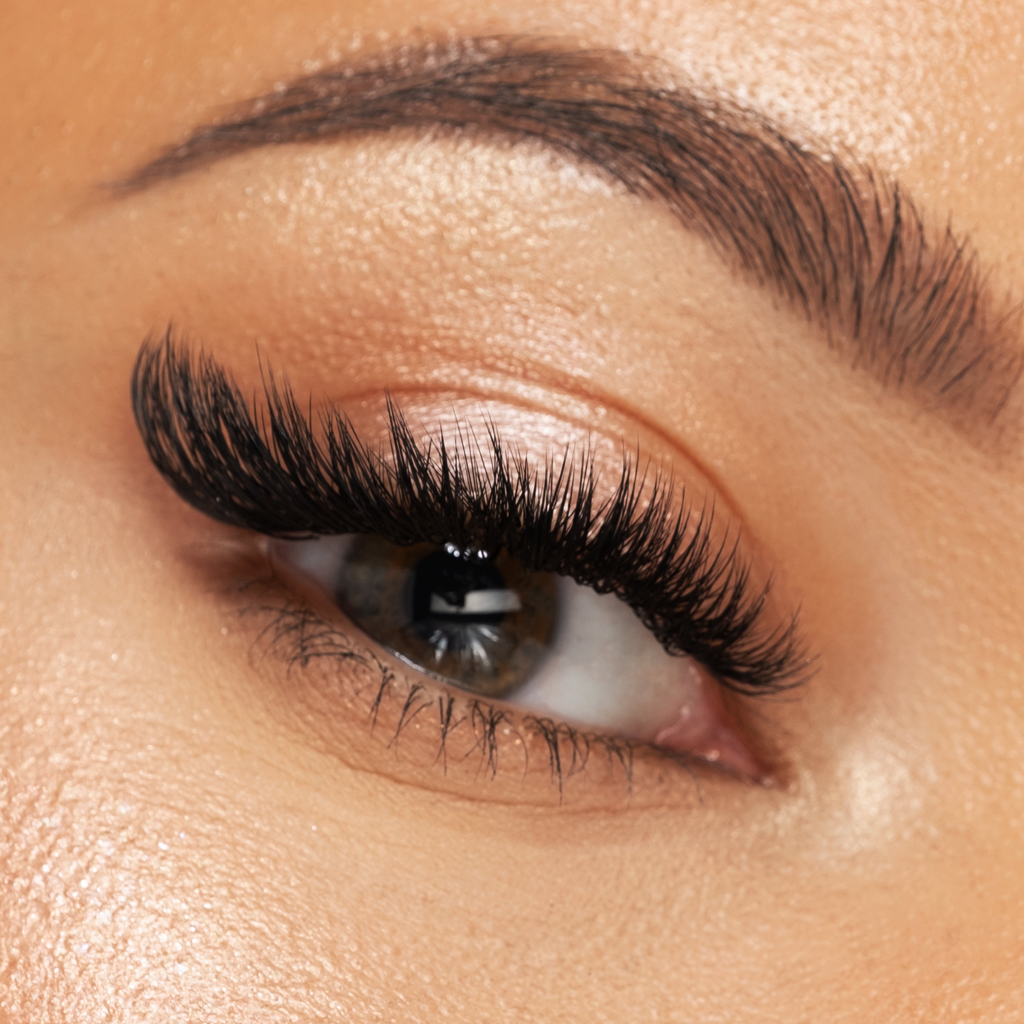 Foxy Y 0.07mm Individual Professional Volume Premade Lash Extensions