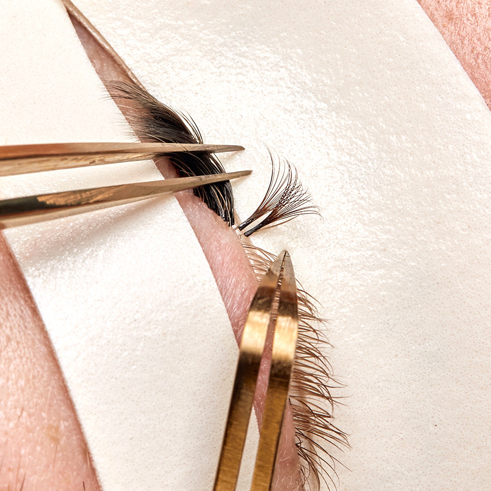 Mocha Brown / FAVORITE - Cashmere FauxMink Lashes 0.03mm, 0.05mm, 0.07mm -  Mixed Lengths