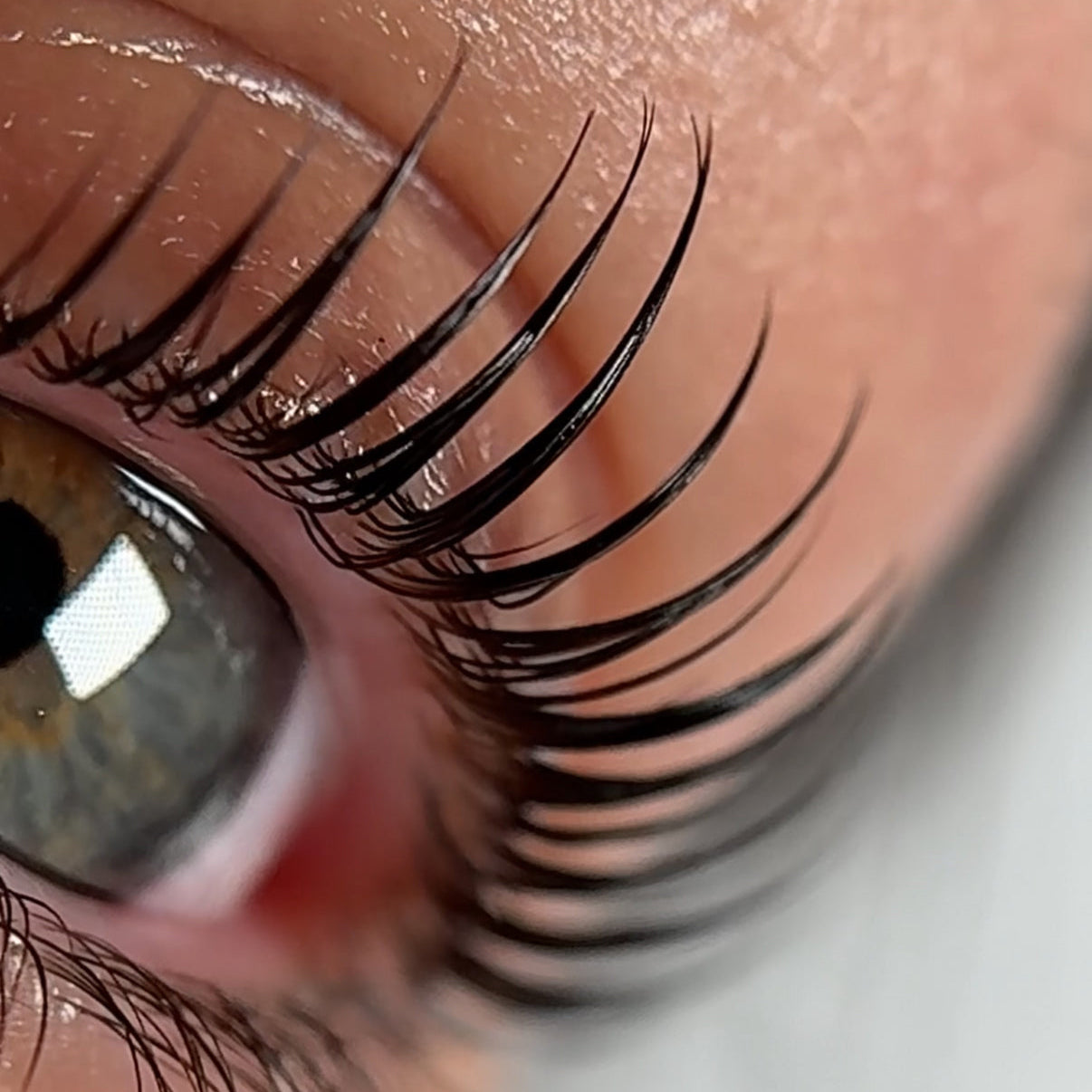 Miko Korean Lash Lift Step 3 Treatment Mask