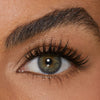 Lace it Up Vegan Segment Lashes - Allure Bold Wispy - Retail Set