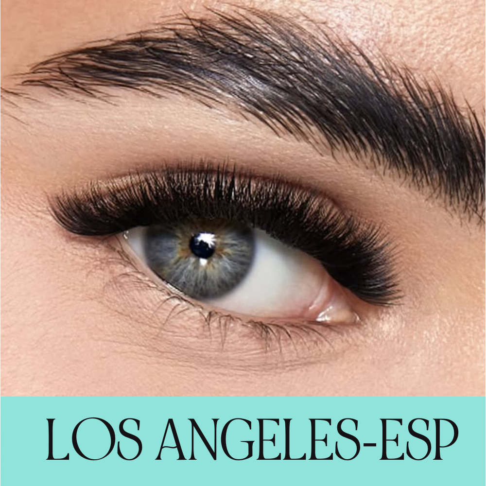 Clase Maestra de Efectos Creativos y Estructura - Los Angeles