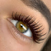 Mocha Brown Color / FAVORITE - Cashmere FauxMink Lashes Mixed Lengths