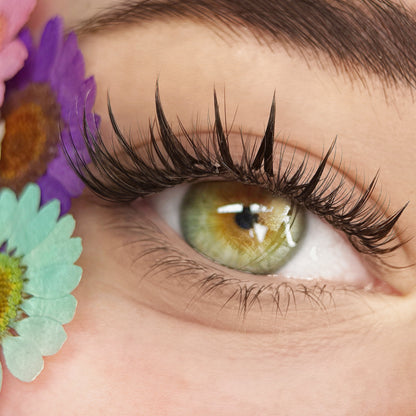 ONLINE: High Quality Lash Content in 5 Minutes