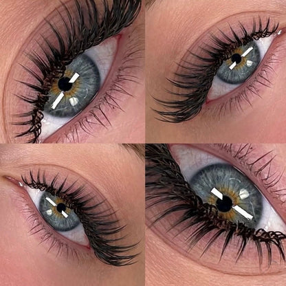 Pixie Camellia 0.07mm Lashes