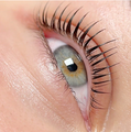 Miko Korean Lash Lift Treatment Primer