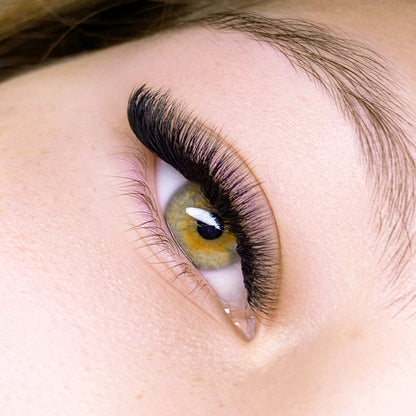 Pretty Little Y’s - YY, Fairy 3Y, 5Y Volume Lashes