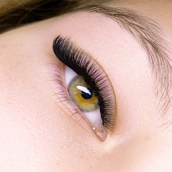 Pretty Little Y's - YY, Fairy 3Y, 5Y Volume Lashes - Lashbox LA