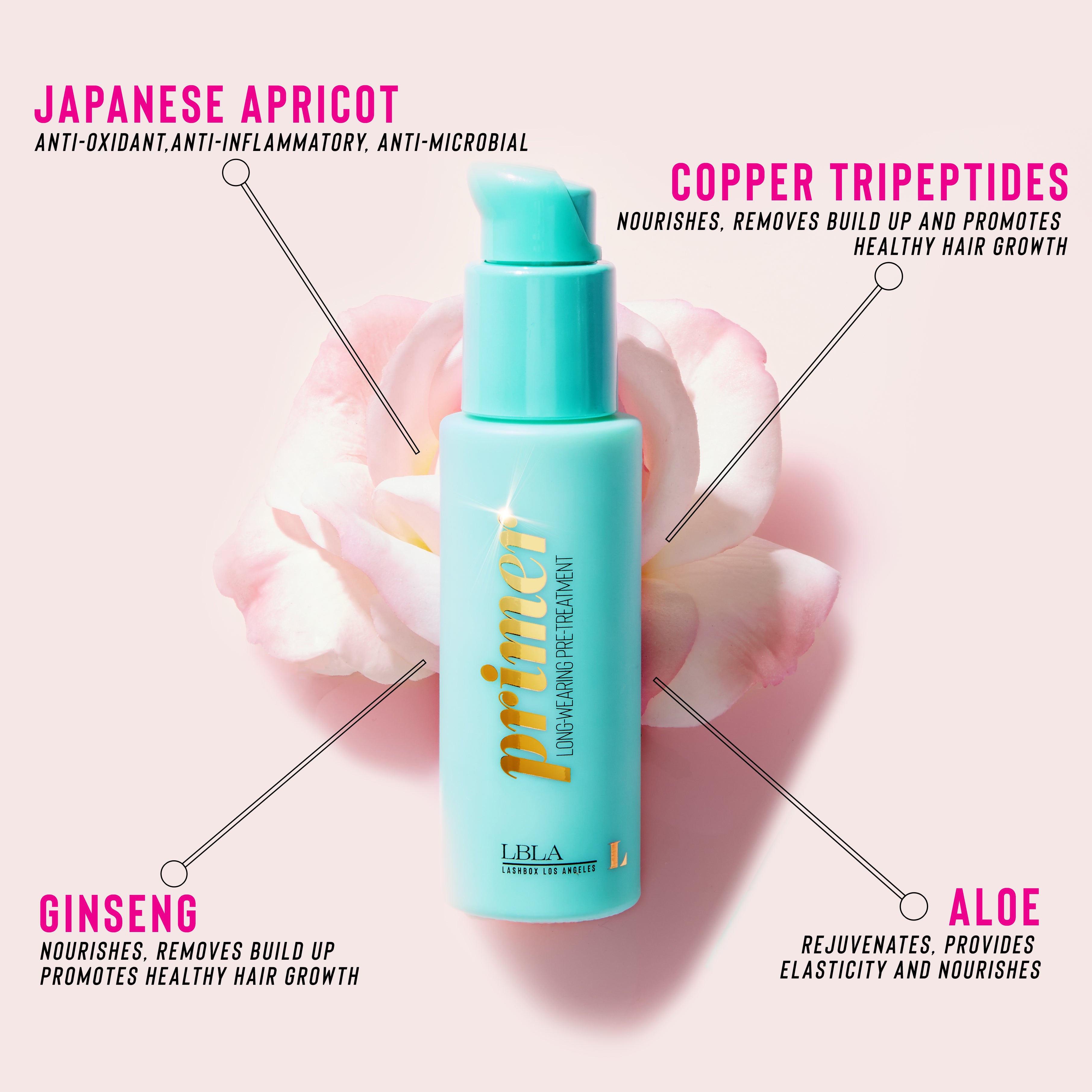 Long Wear Pre-Treatment & Primer – Lashbox LA
