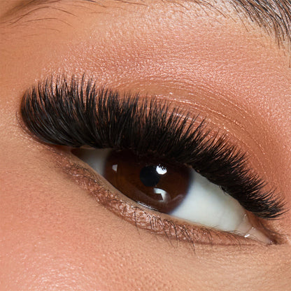 Flower Power True Matte Mega Volume & Volume Lashes Extensions - (18 Lines)