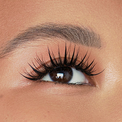 Multi-Layered Camellia 0.07mm Lashes - Lashbox LA