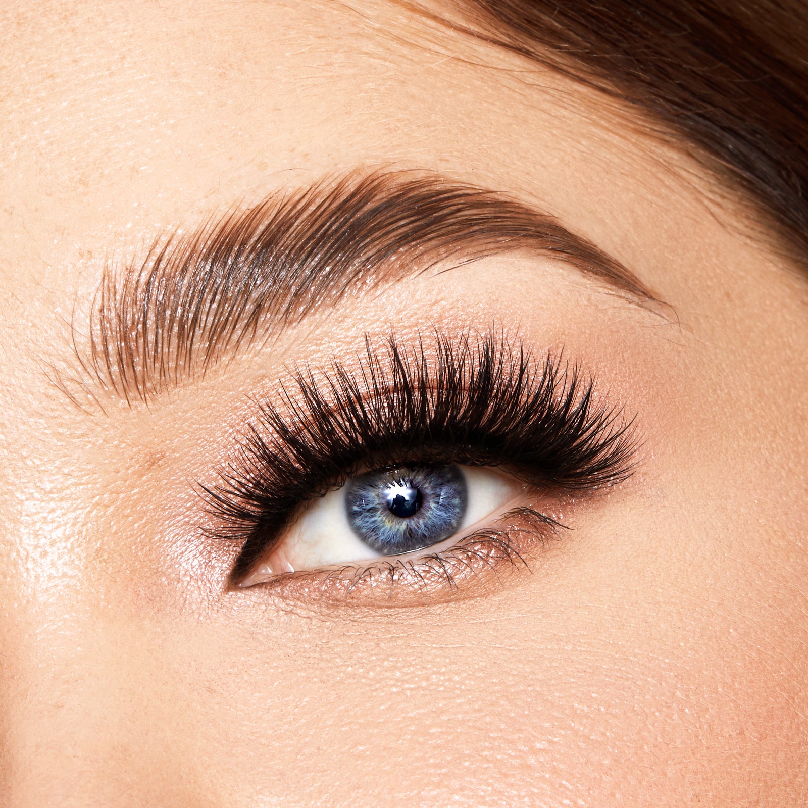 Double Layered Vegan Mink False Lashes - Birds of Prey