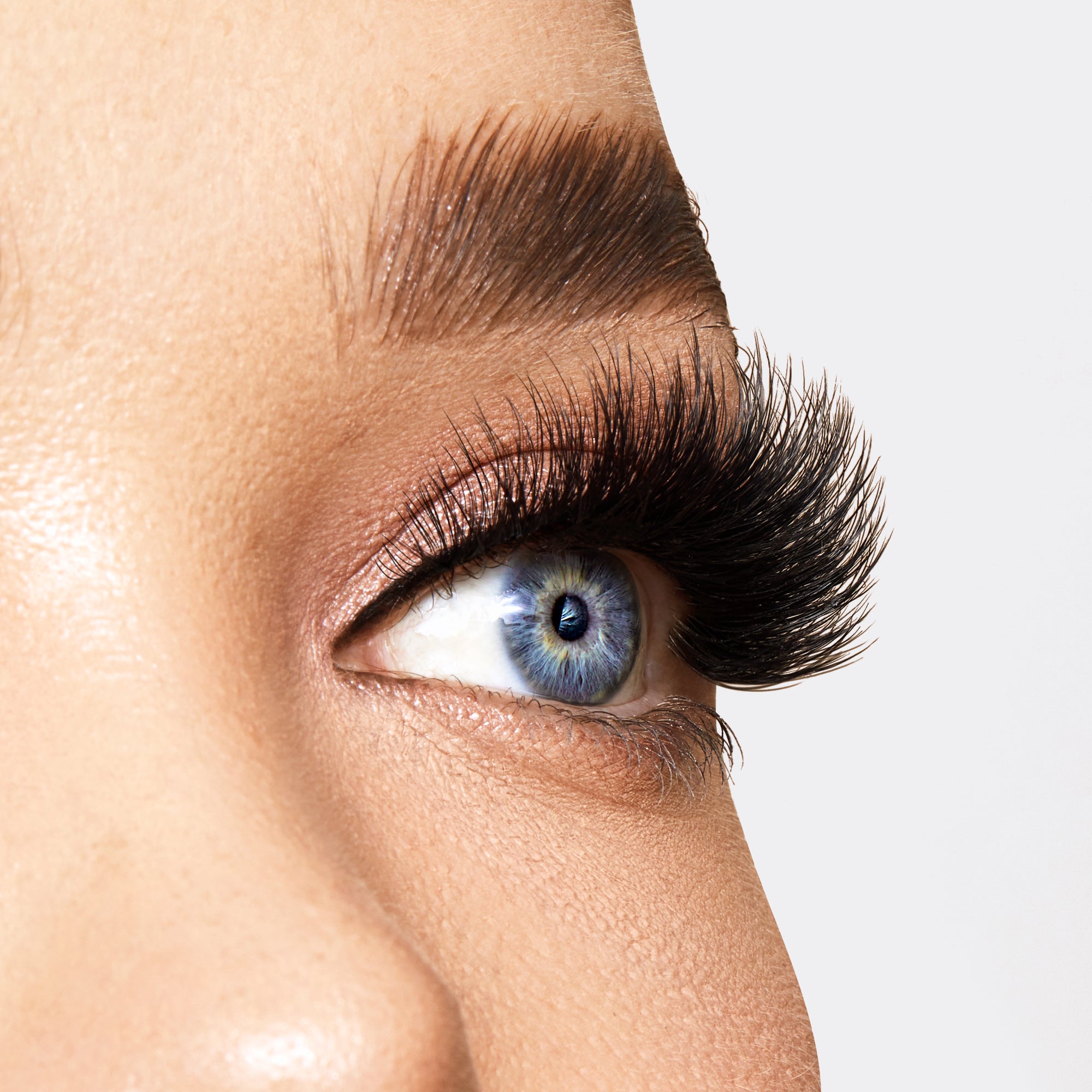 Double Layered Vegan Mink False Lashes - Birds of Prey