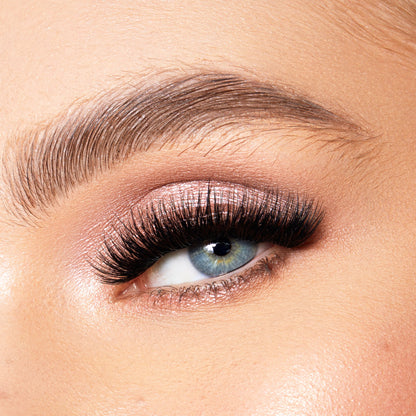 Lace it Up Vegan Cluster Lashes -  Mega Volume